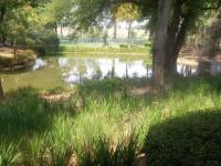  of property in Randjespark
