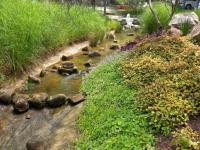  of property in Randjespark