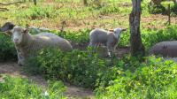  of property in Swellendam