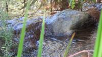  of property in Swellendam
