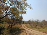  of property in Bela-Bela (Warmbad)
