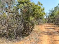  of property in Bela-Bela (Warmbad)