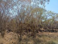  of property in Bela-Bela (Warmbad)