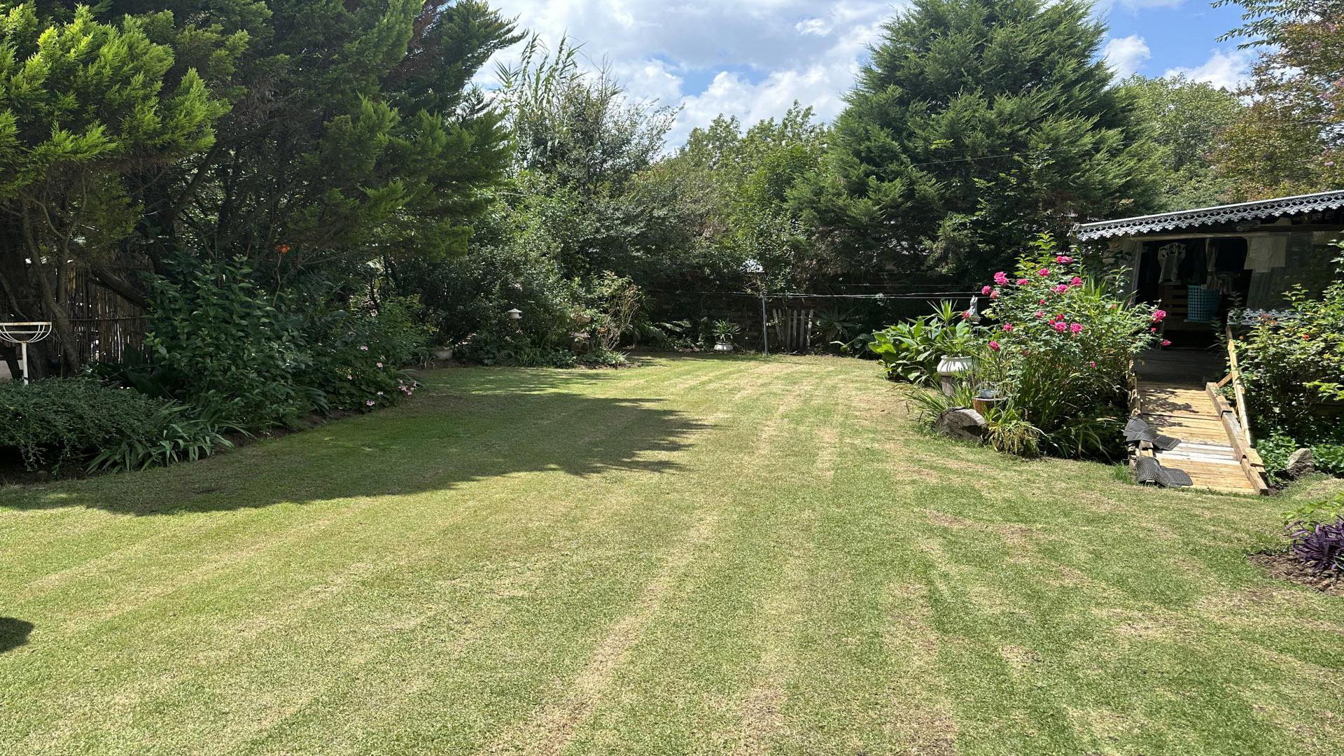 Backyard of property in Reitz