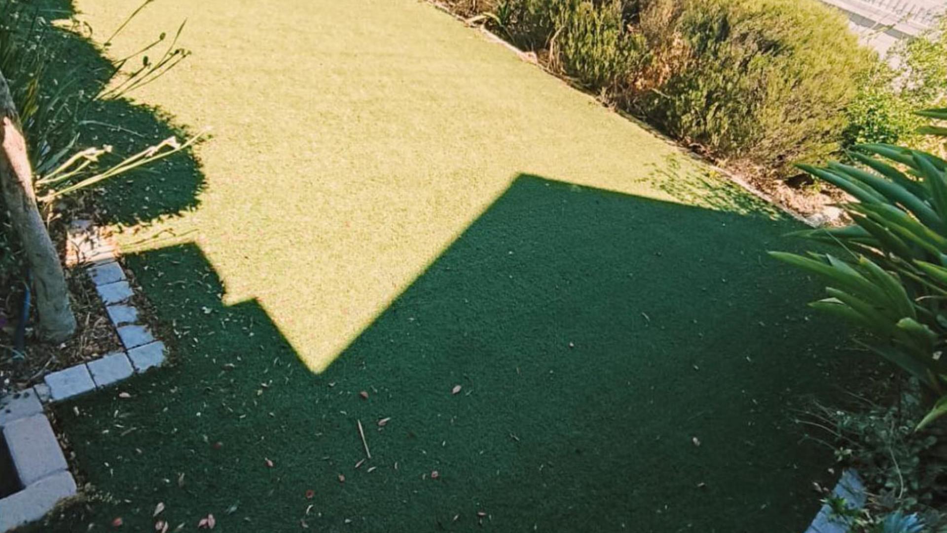 Backyard of property in Wellington