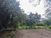  of property in Westville 
