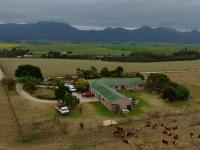  of property in George Central