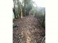  of property in Padfield Park
