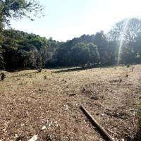 of property in Padfield Park