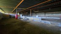 Spaces of property in Blignautsrus AH