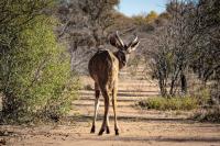  of property in Hammanskraal