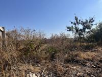  of property in Soshanguve