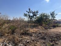  of property in Soshanguve