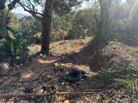  of property in Queensburgh