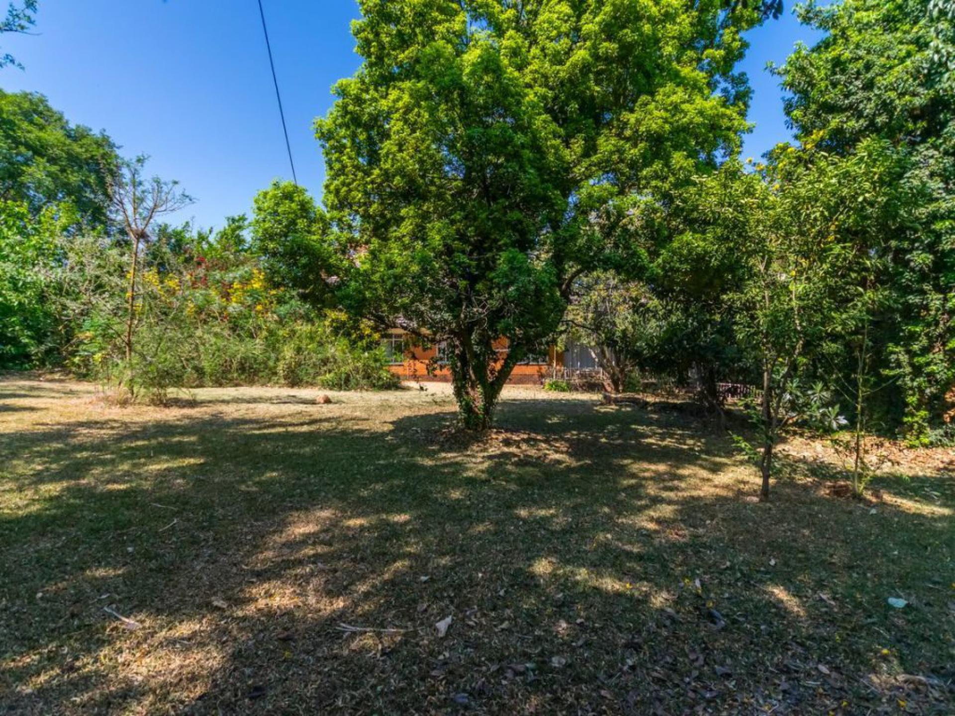  of property in Lyttelton Manor