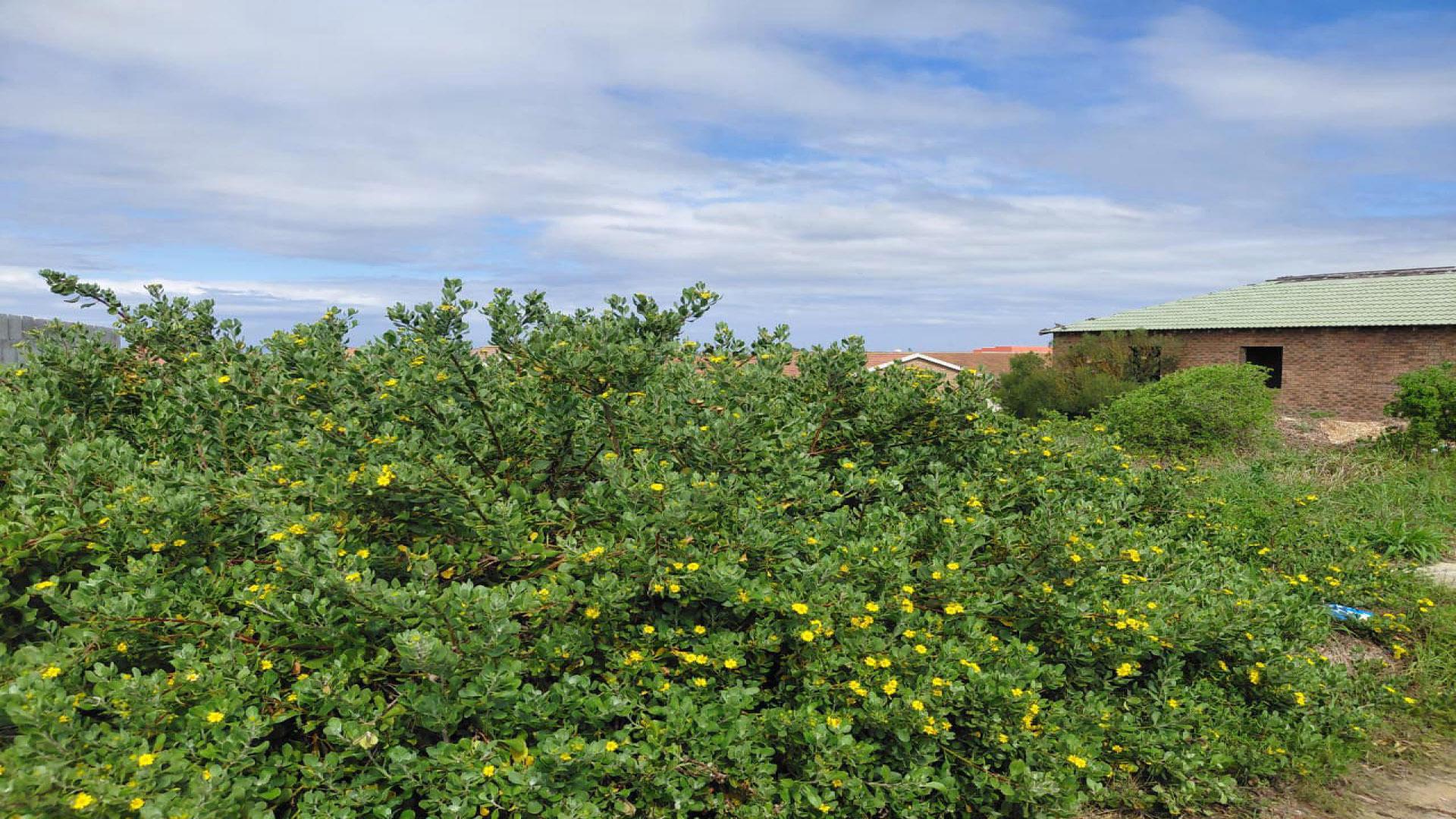 Spaces of property in Amsterdamhoek
