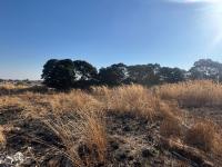 of property in Tasbetpark