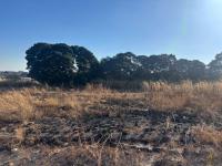  of property in Tasbetpark