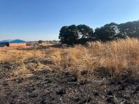  of property in Tasbetpark