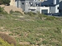  of property in Calypso Beach