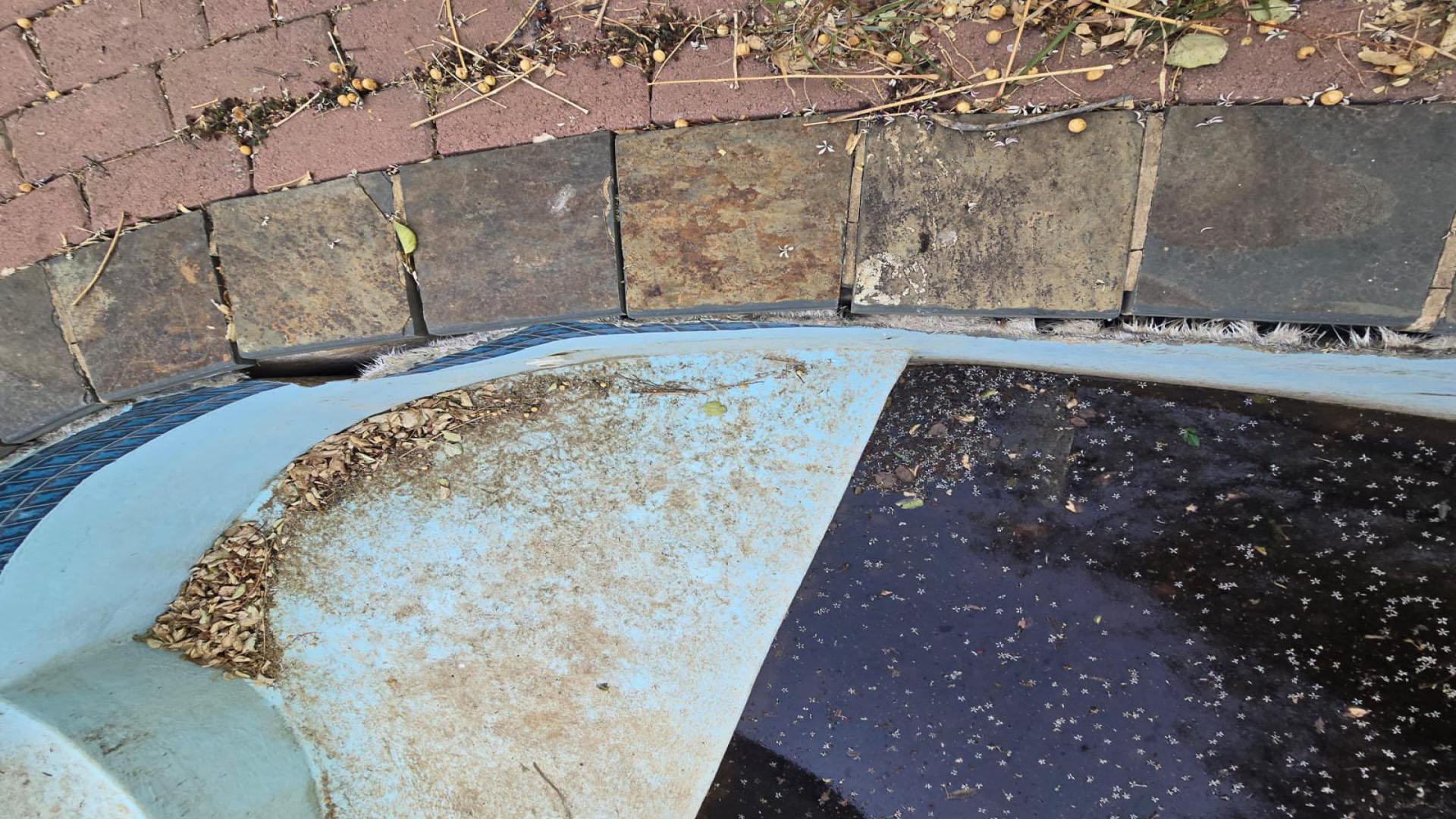 Swimming Pool of property in Mafikeng