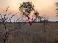 Smallholding for Sale for sale in Roodeplaat