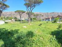  of property in Pine Acres