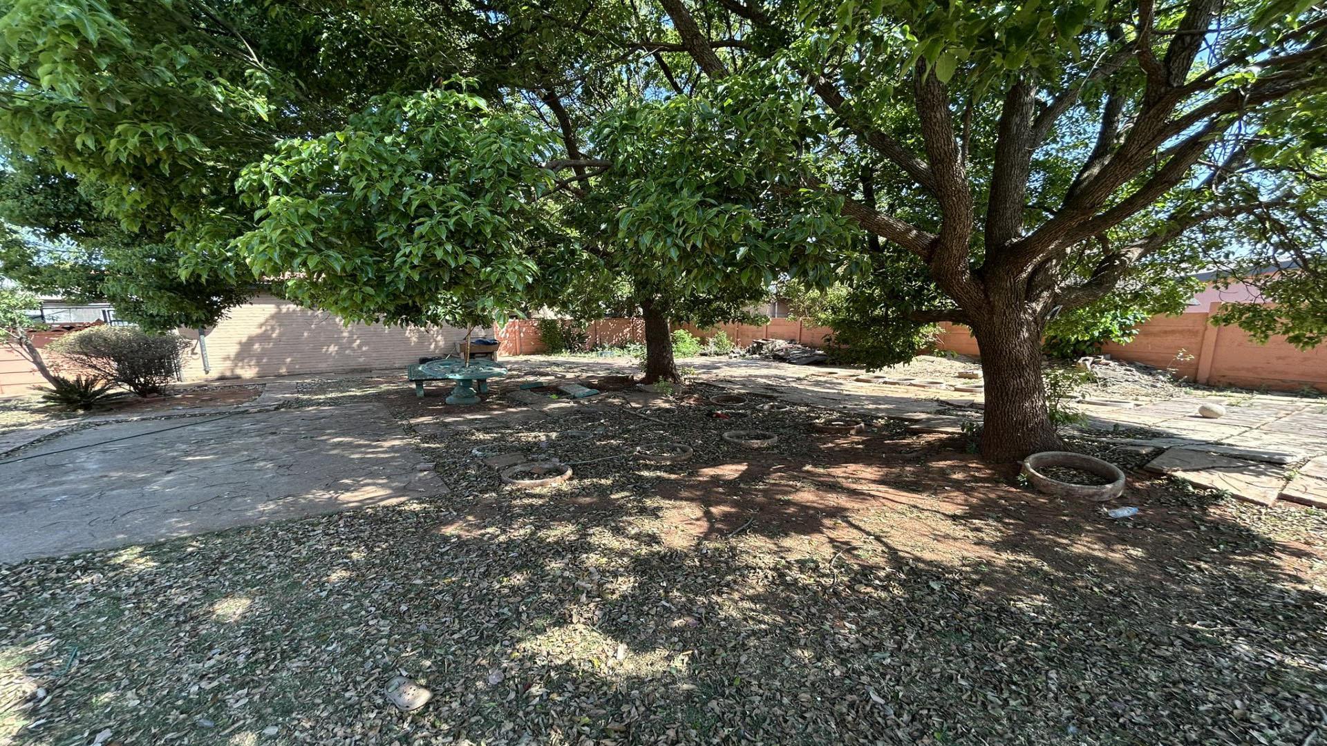 Backyard of property in Pretoriusrus