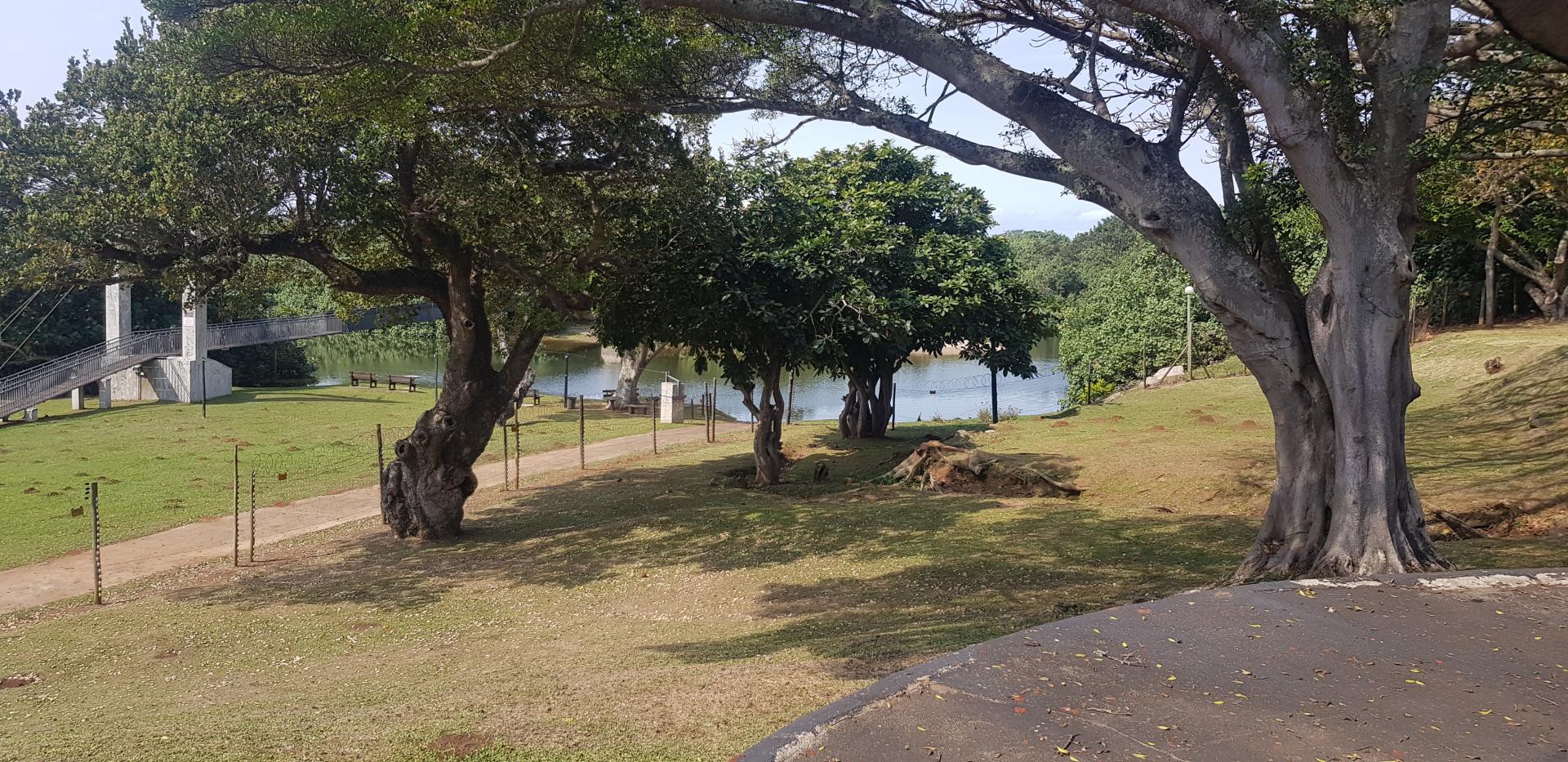  of property in Hibberdene