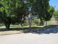 of property in East London