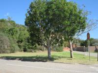  of property in East London