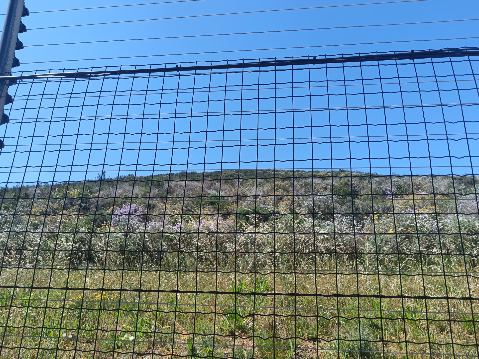  of property in Plattekloof