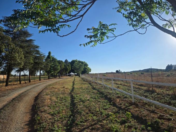Farm for Sale For Sale in Heidelberg - GP - MR696420