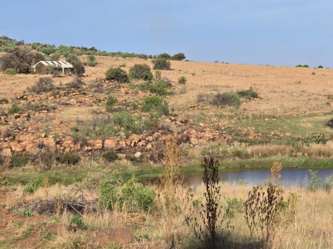 Farm for Sale For Sale in Heidelberg - GP - MR696420