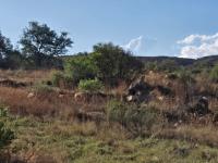  of property in Heidelberg - GP