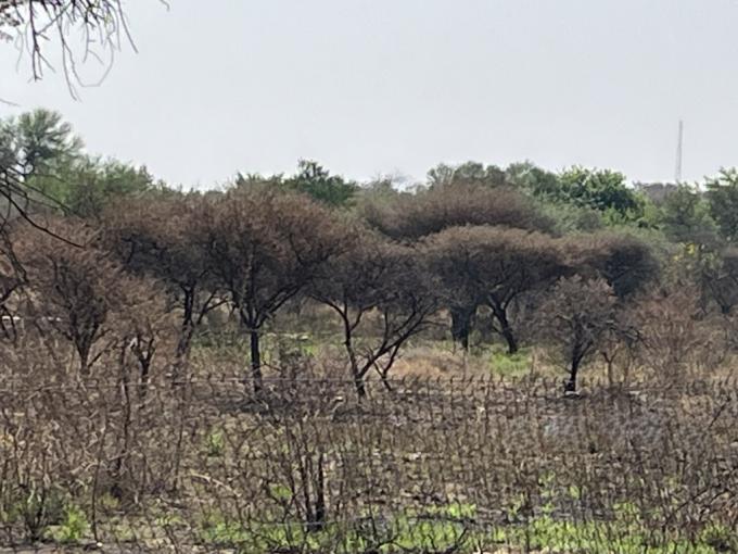 Land for Sale For Sale in Polokwane - MR696440