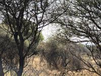  of property in Polokwane