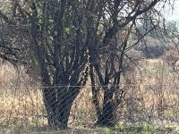  of property in Polokwane