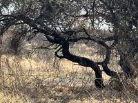  of property in Polokwane