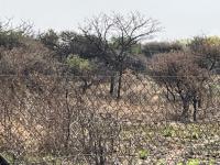  of property in Polokwane
