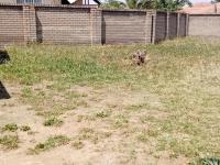  of property in Jameson Park