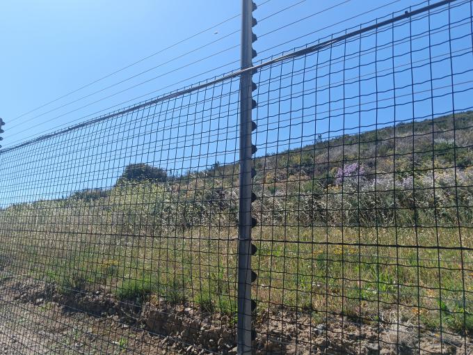 Land for Sale For Sale in Plattekloof - MR696719
