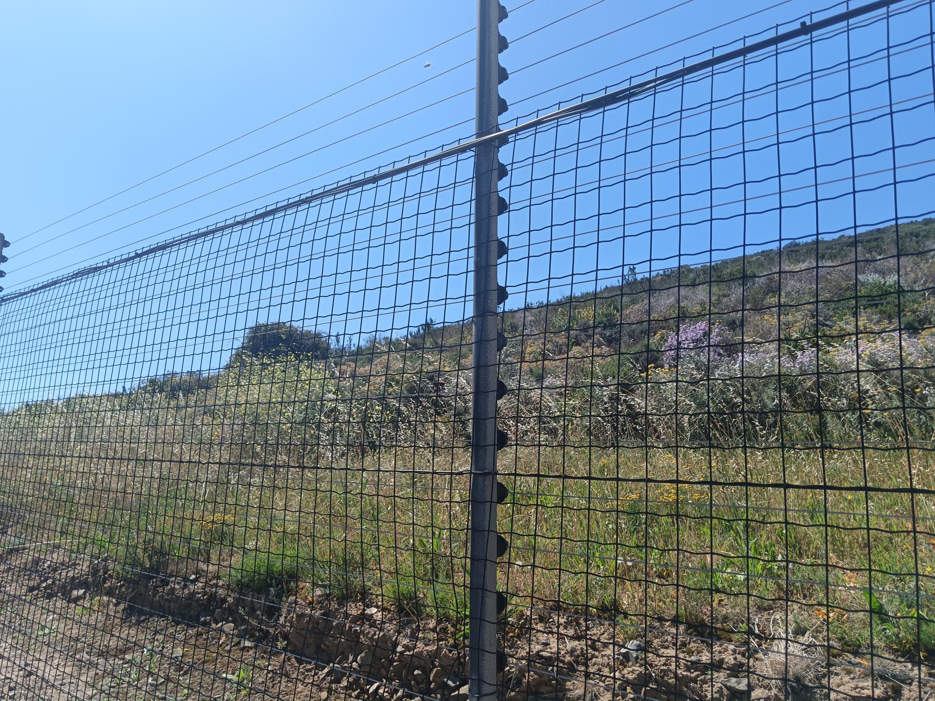  of property in Plattekloof