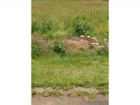  of property in Hendrina