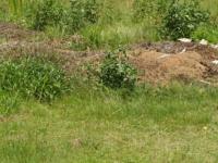  of property in Hendrina