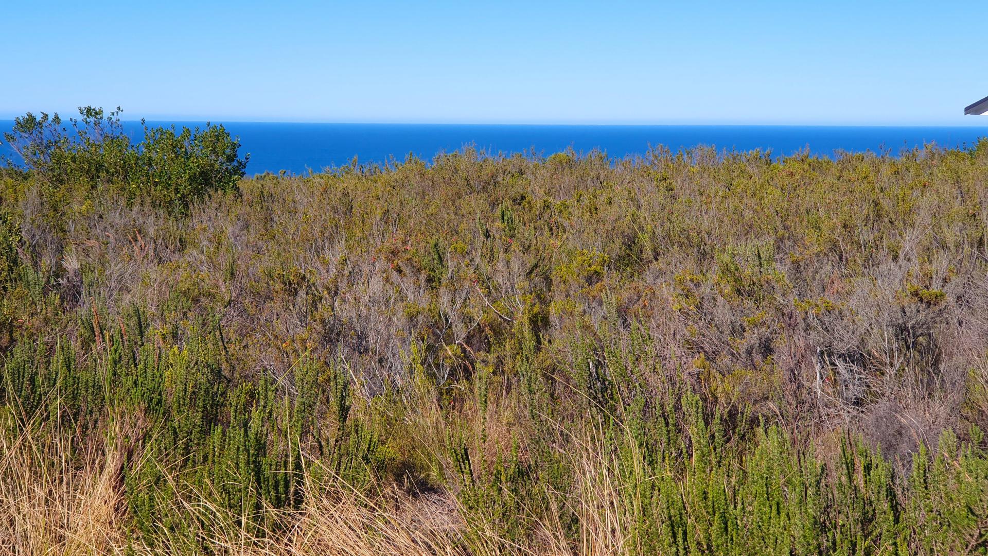  of property in Dana Bay