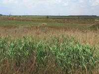  of property in Withok Estates