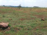  of property in Withok Estates