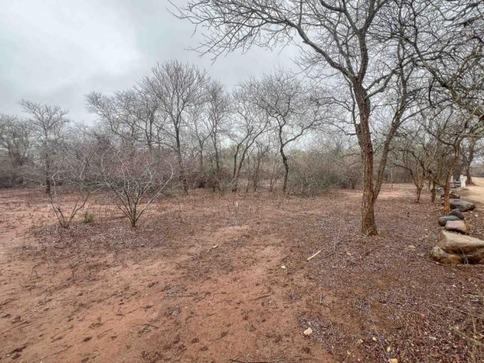 Land for Sale For Sale in Marloth Park - MR697046