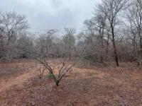  of property in Marloth Park